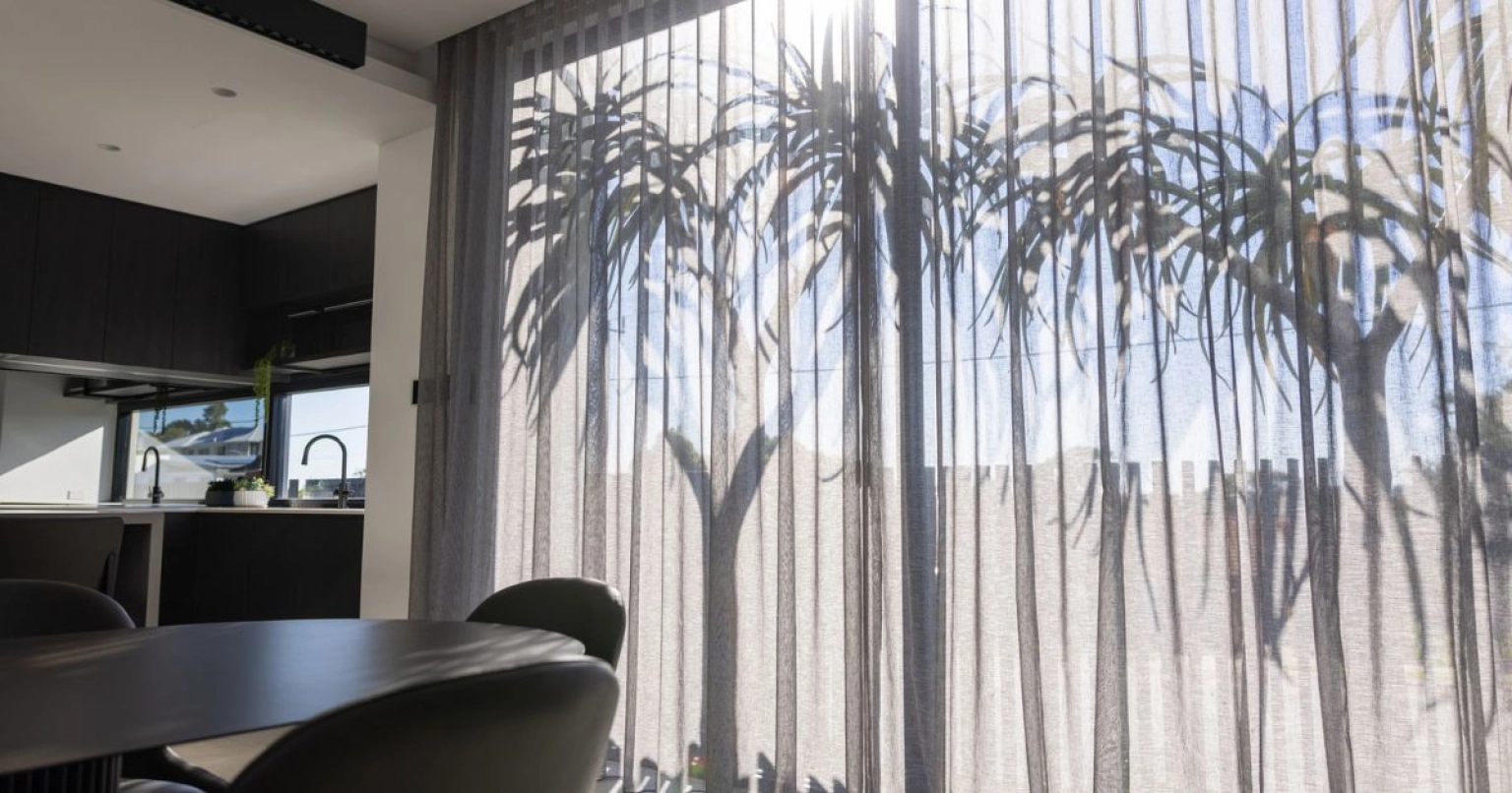 Interior room with dark tones. Palm tree shadows in sunlight through sheers