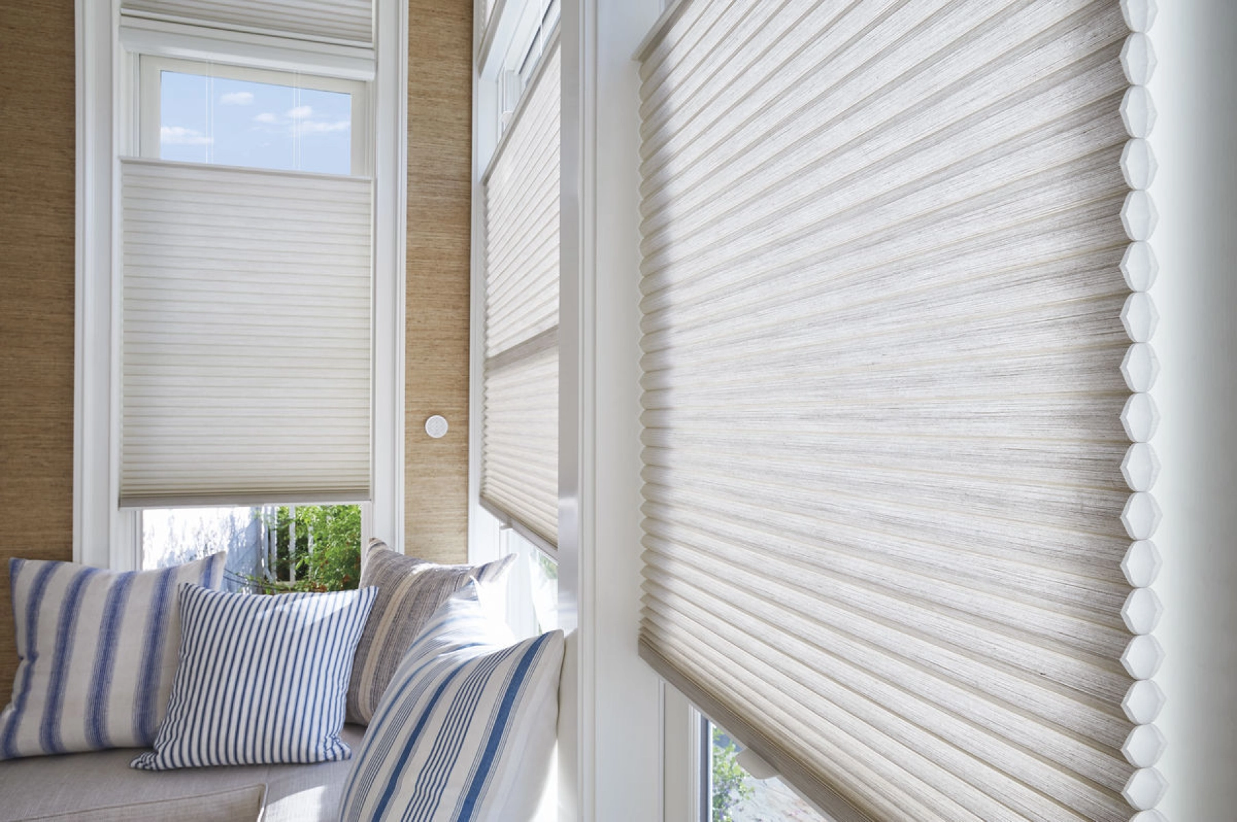 copy-of-hunter-douglas-supplier-alexa.jpg